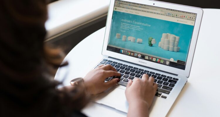 desenvolvedor web laravel